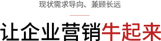 企业网站营销