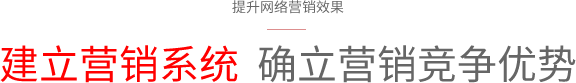 网站营销