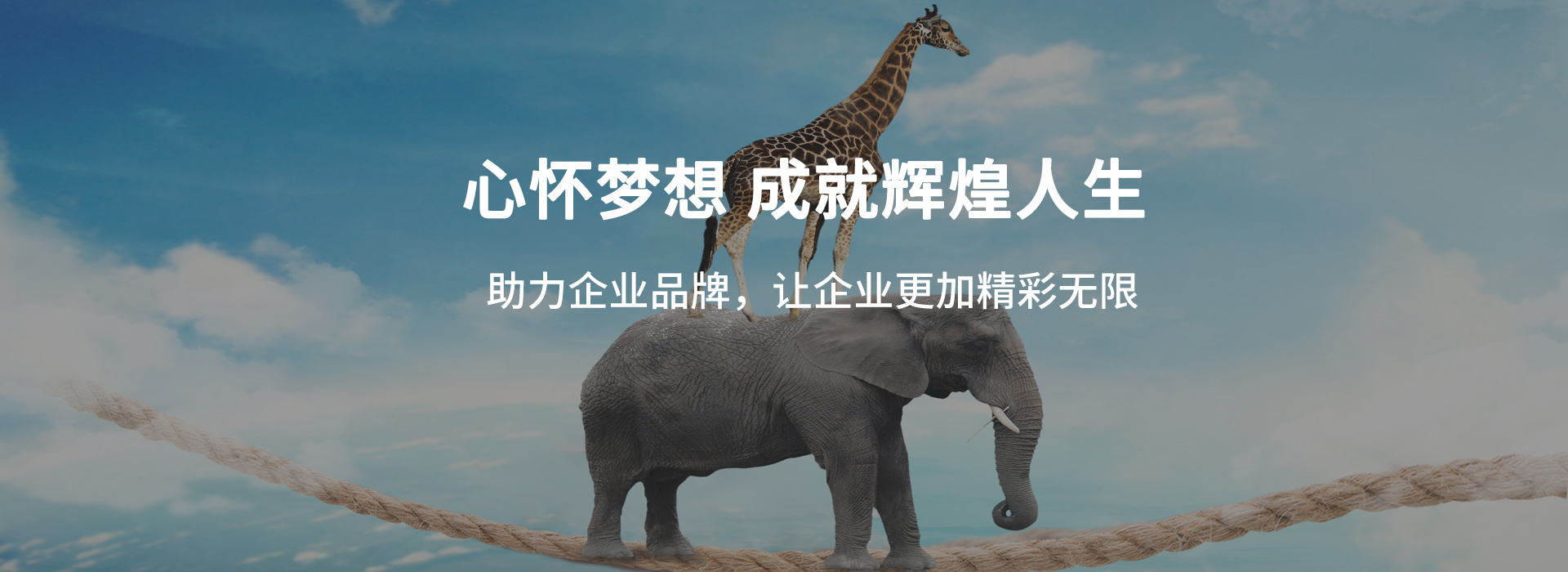 整合营销